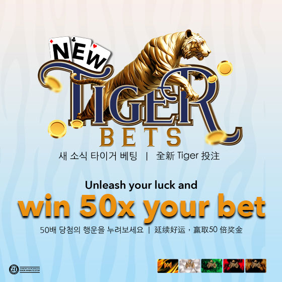 Betcity app banner