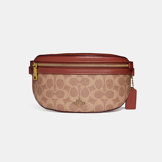Bethany belt hotsell bag